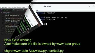 Execute Python file using PHP [2022]