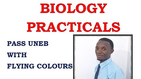 PASS Biology practicals on catalyse enzyme free to watch