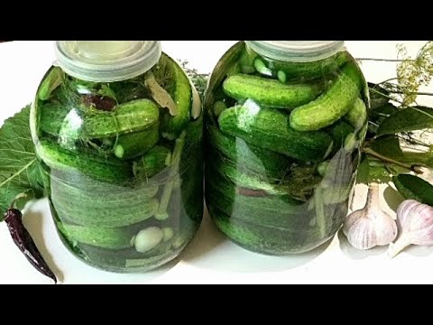 САМЫЙ ПРОСТОЙ способ засолки огурцов на зиму. КВАШЕНЫЕ ОГУРЦЫ /Salted cucumbers