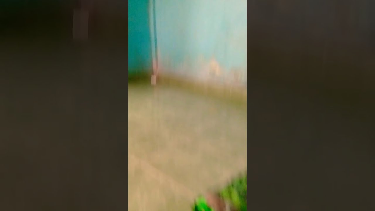 dokteran - YouTube