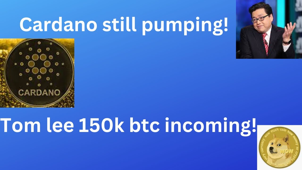 Cardano still pumping! Tom lee 150k bitcoin incoming! - YouTube