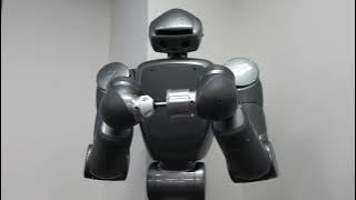 Toroboによる双腕ペグインホール（Dual arm peg-in-hole with Torobo）