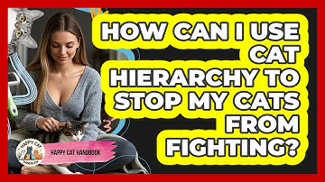How Can I Use Cat Hierarchy To Stop My Cats From Fighting? - Happy Cat Handbook