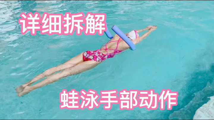 蛙泳手部動作，各部分詳細拆解 - 天天要聞