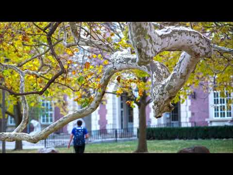 A Few Things to Know about the University of Illinois from a Student's Perspective