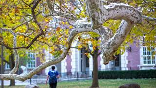 A Few Things to Know about the University of Illinois from a Student's Perspective
