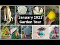 Full Jan 2021 Garden Tour - Vegetable Harvests, Gardening Tips & Grow Light Giveaway Winner!