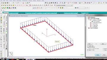 Plate Loads Assign All types