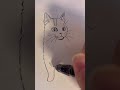 シャーペンでねこを描いてみたの #猫 #アナログイラスト #イラストメイキング