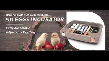 50 Eggs Incubator with auto humidity control