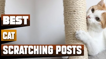 Best Cat Scratching Posts In 2025 - Top 10 Cat Scratching Posts Review