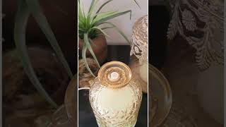 Elevate Your Space With The Elysian Aroma Diffuser