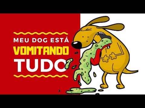 Vídeo: Alimentando Cães Com Síndrome De Vômito Bilioso