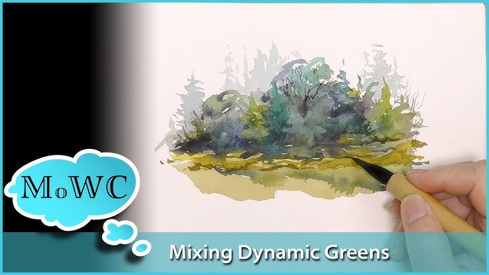 Introducing the Special Edition Steve Mitchell Watercolor Set by M. Graham!