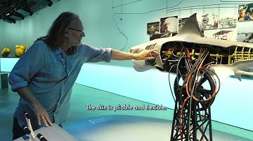 How They Rebuilt the Original ‘Jaws’ Shark   With Working Mechanics!