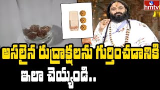 అసలైన రుద్రాక్షలను ఎలా గుర్తించాలి? | Devi Shree Guruji | hmtv