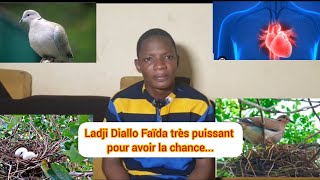 Ladji Diallo Faïda très puissant pour avoir la chance...00223 94 61 61 47....