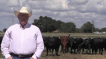 Ron Gill  - BQA - Industry wide look on Beef Quality Assurance