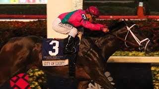 Gulfstream Park Carrera 12 (The 3rd of The Pegasus World Cup Invitational)  - 26 de Enero 2019