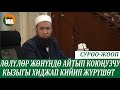 Лөлүлөр жөнүндө айтып коюңузчу.Кызыгы алар хиджап кийип жүрүшөтко