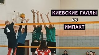 Volleyball. 11.02.24. Киевские Галлы/Импакт 1:2 (3 игра)