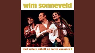 Video thumbnail of "Willem Nijholt - Een Simpel Liedje"