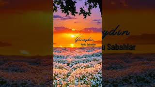 Download Lagu #music #love #history #komedi #komik #reels #slowed #spedup #art MP3