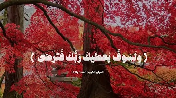 سورة الضحى كاملة بصوت المنشاوي | مُرتل 🖤 