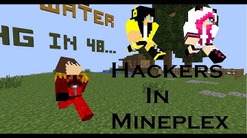 Hackers In The Mineplex Server?