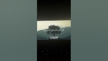 سورة الروم|17-19|القارئ:#محمد_اللحيدان #قران #quran #قران_كريم #تلاوة #تلاوة_هادئة #آية #تلاوة_خاشعة