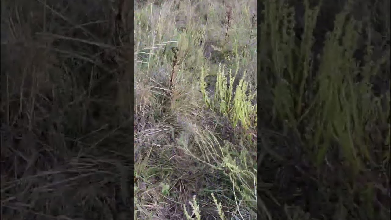 19 de febrero de 2026