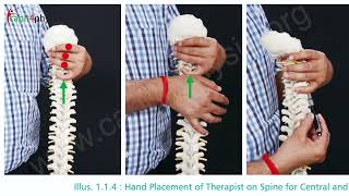 Complete Guide to NAGs (Natural Apophyseal Glides): Cervical Spine Treatment as per Mulligan Concept