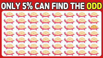 Odd One Out Quiz - Sharpen Your Visual Acuity! 😁 Easy, Medium, Hard🔎 [136]