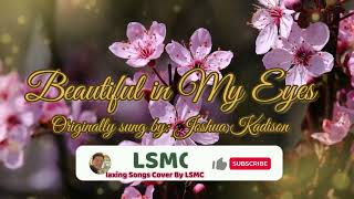 Beautiful In My Eyes - Joshua Kadison (Cover by LSMC)