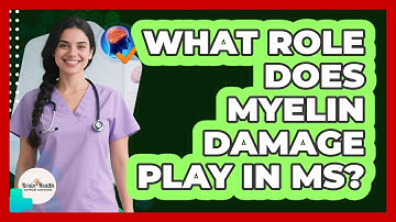 What Role Does Myelin Damage Play In MS?