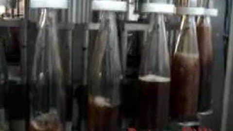 fish sauce glass bottle filling