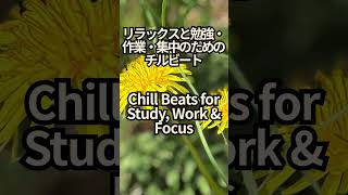 Chill Beats for Study, Work & Focus | Dandelion Focus Lo-fi