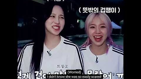 Twice Mina picked her partner chaeyoung #Michaeyoung