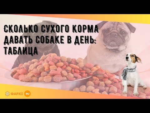 Сколько сухого корма давать собаке в день: таблица