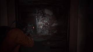 The worst hidden wall stalker