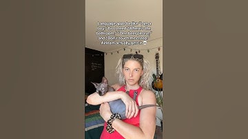 Language apps be like #airlearn #bambinosphynx #sphynx #blackbambino #catcontent