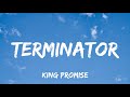 King Promise - Terminator feat. Young Jonn (Lyrics)