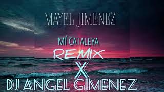MAYEL JIMENEZ MI CATALEYA REMIX X DJ ANGEL GIMENEZ Resimi