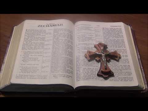 Sinhala Bible සෙකරියා ZECHARIAH 1