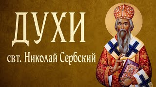 видео: ДУХИ | свт. Николай Сербский картинка: ДУХИ | свт. Николай Сербский