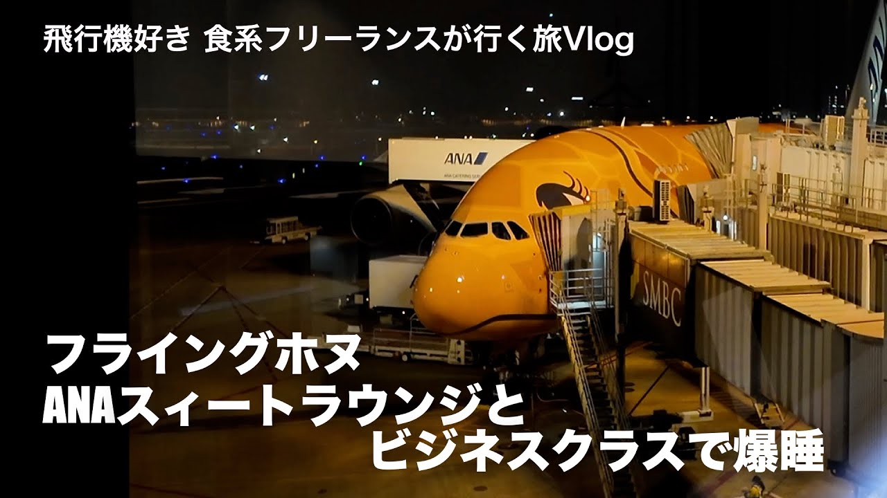 ANAダイヤモンドが行く、ハワイ3泊5日 往路 - YouTube