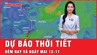 Dự báo thời tiết đêm nay và ngày mai 12-11: Không khí lạnh tràn về, Bắc Bộ rét đậm, Trung Bộ mưa to