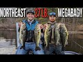 Megabag of Largemouth in New England!!