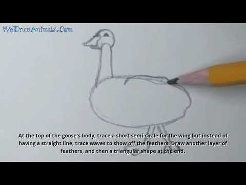 How to Draw a Goose In 8 EASY Steps - GREAT for Kids & Beginners - YouTube