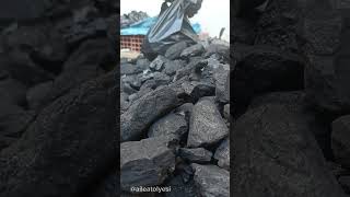 Köyde Odun Kömür Işleri Kömür Poşetleme Kışın Yakıt Ne Kullanıyorsunuz Ömür Iş